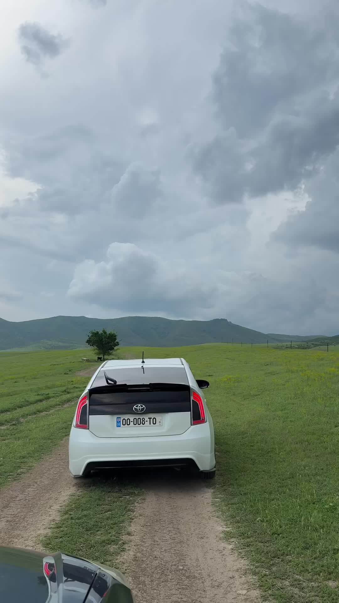 @meherrem.askerov