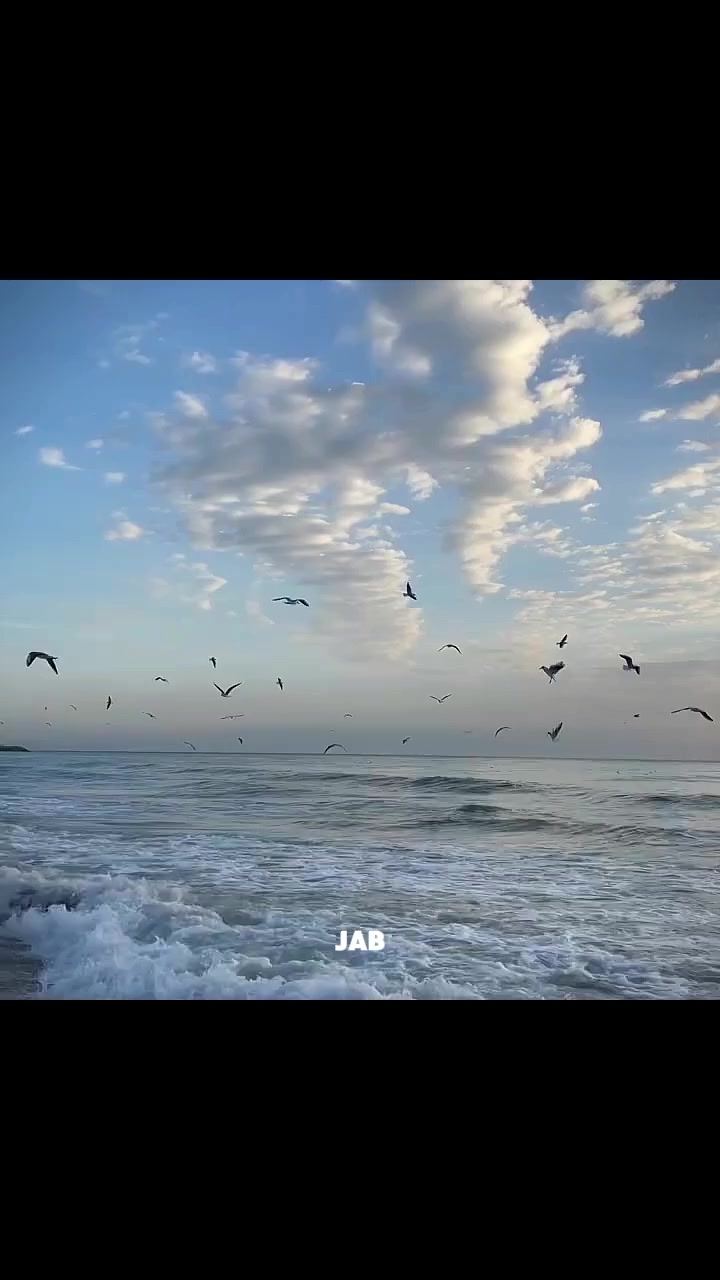 @𝐍𝐎𝐎𝐑~𝐁𝐔𝐓𝐓