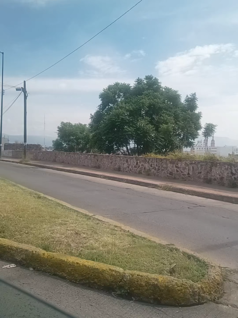 @Susana Ramírez Rosales