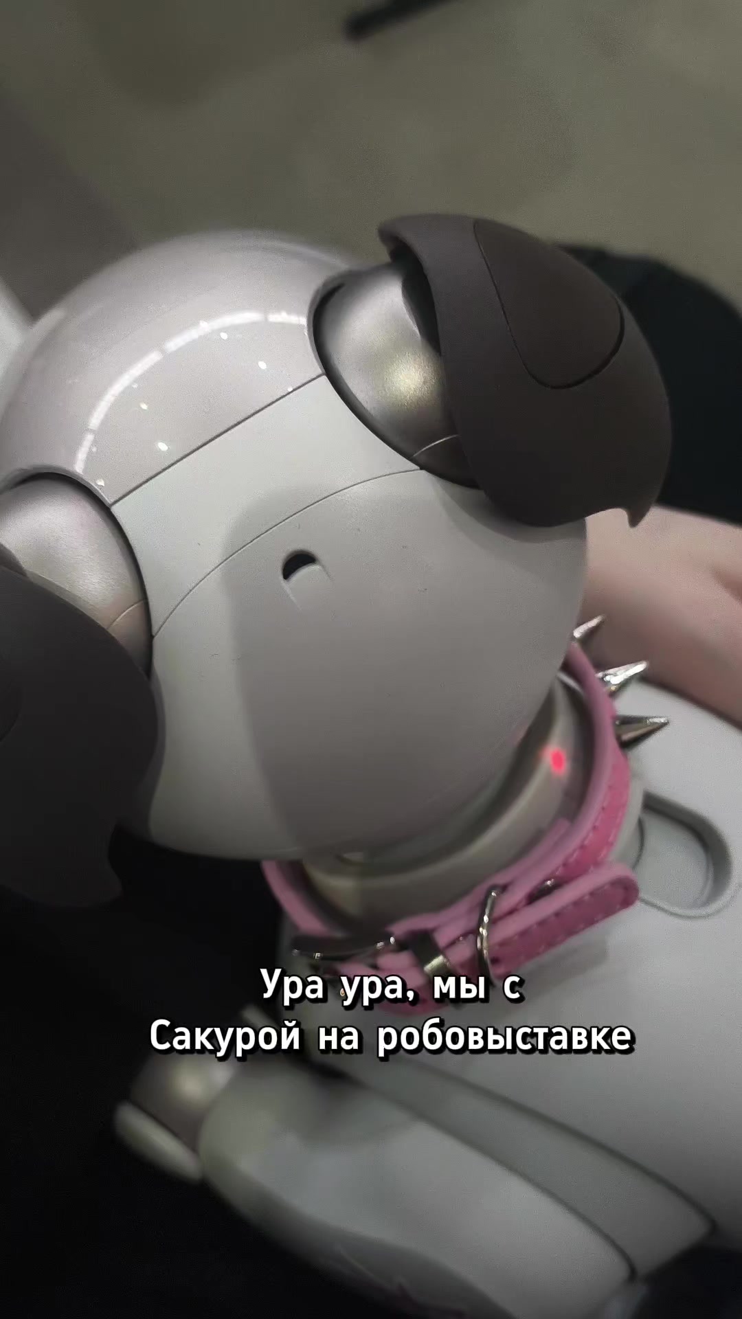 @Чевинстри