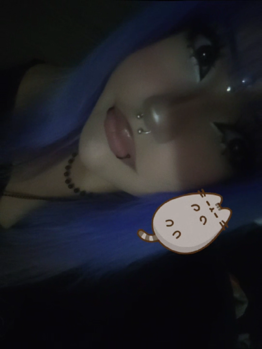 @kitty≽(•⩊ •マ≼