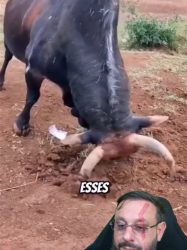 @Bi&oacute;logo Henrique
