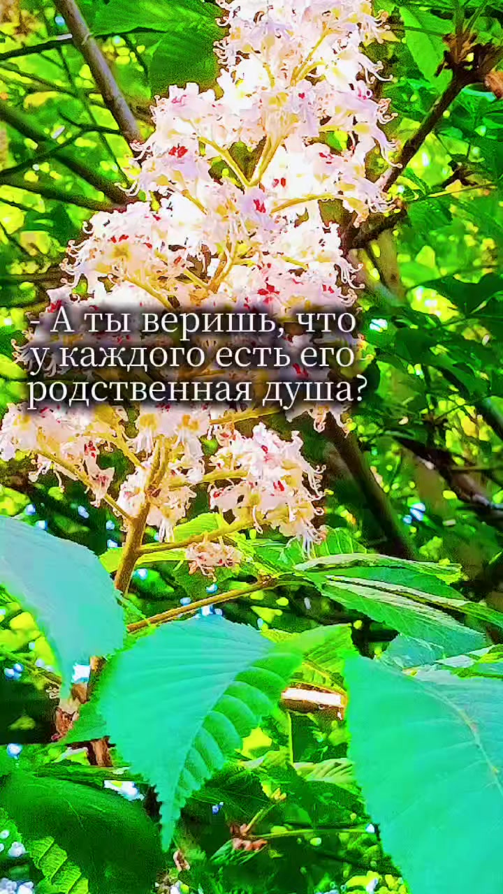 @𝓛𝓮𝓷𝓸𝓬𝓱𝓴𝓪