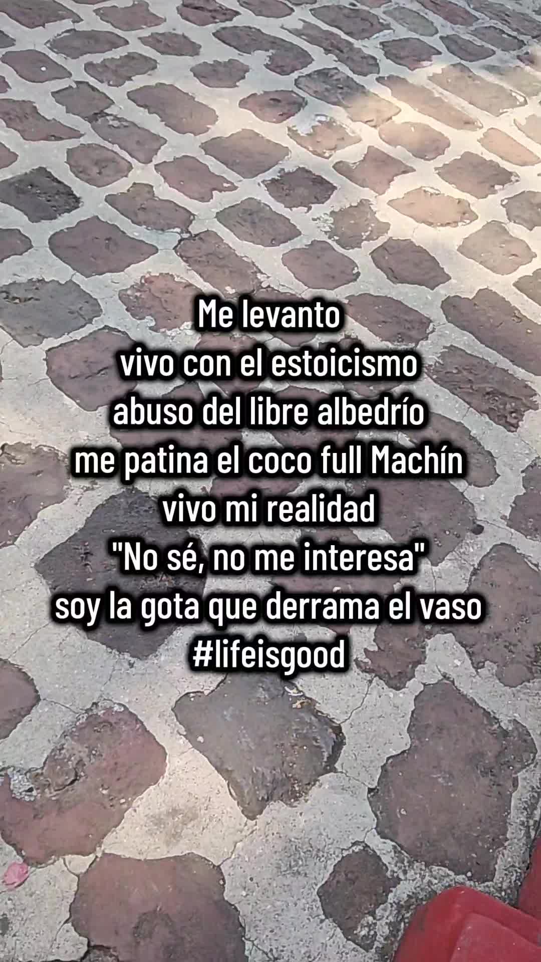 @🦇᥅ꫀ᥇ꫀꪶ🦇