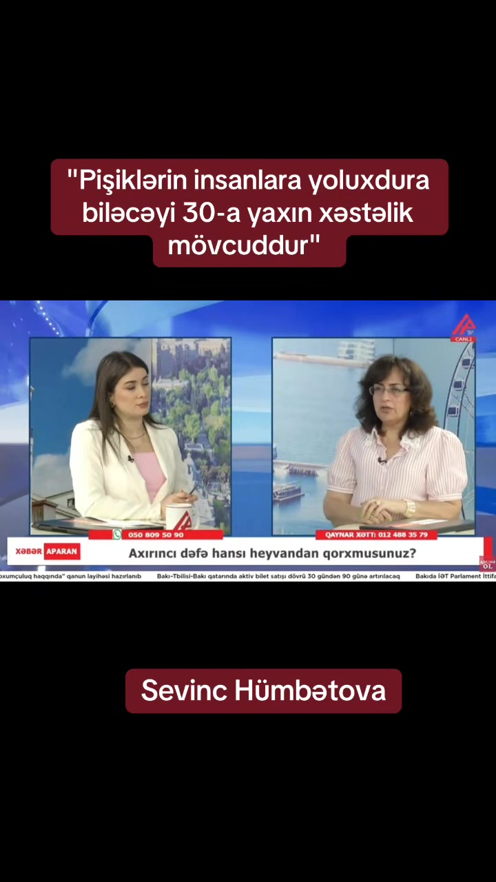 @apatvxeber