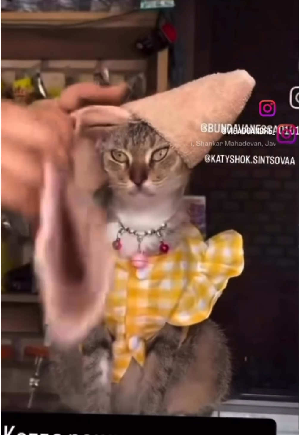 @cosanostrapurr