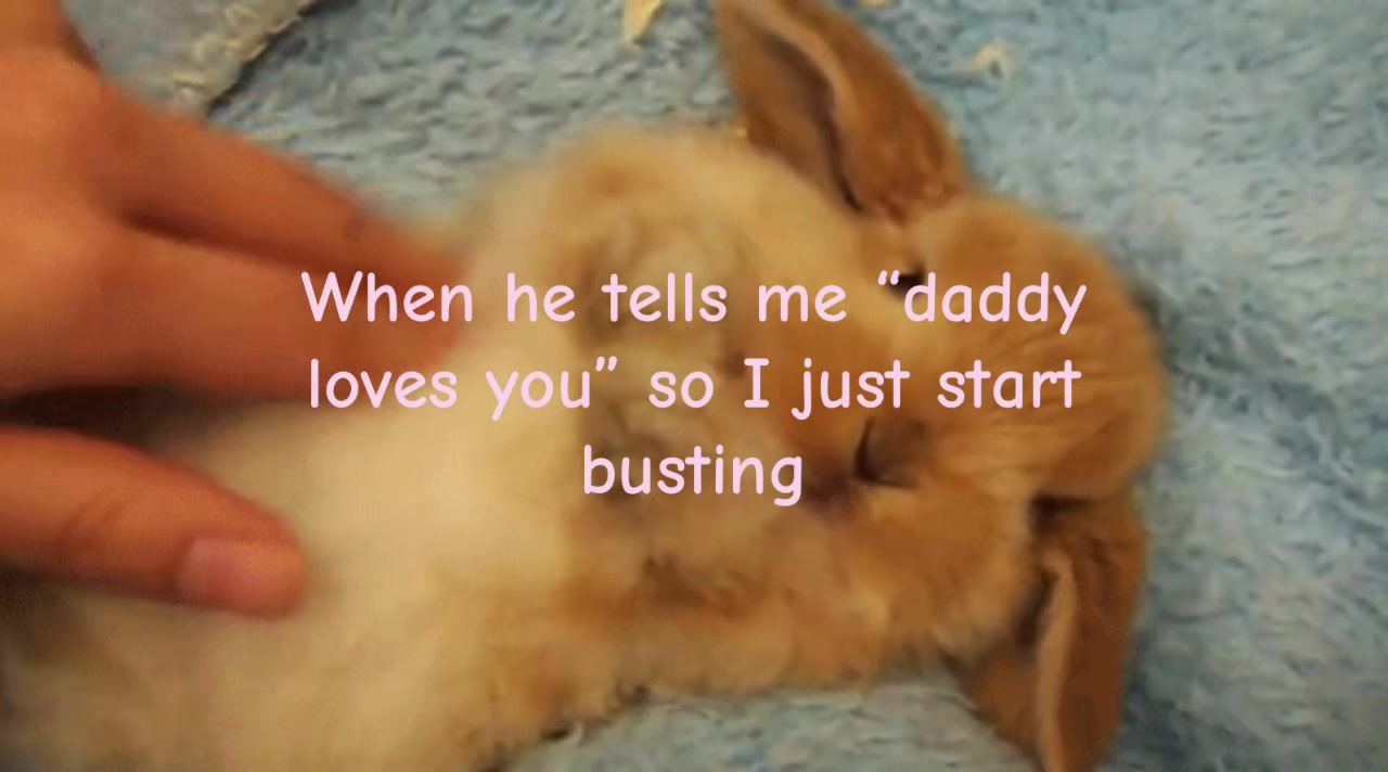 @🐾
