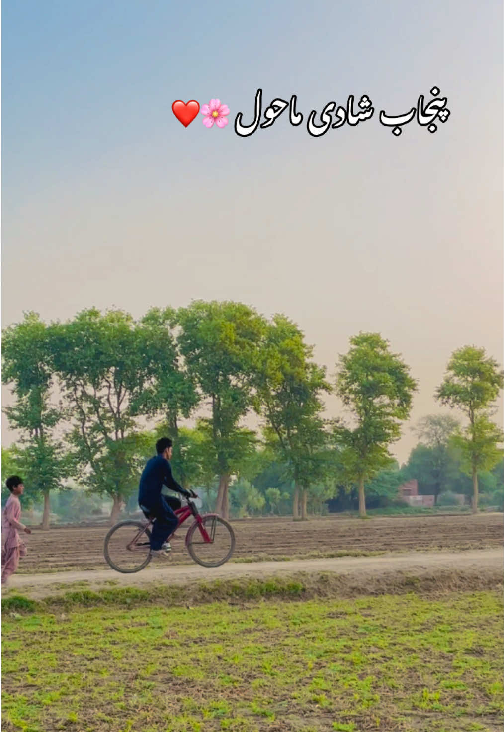 @naveedahmed_29