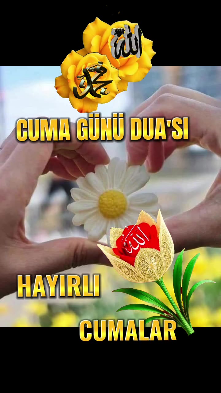 @🌸SARIG&Uuml;l🌸