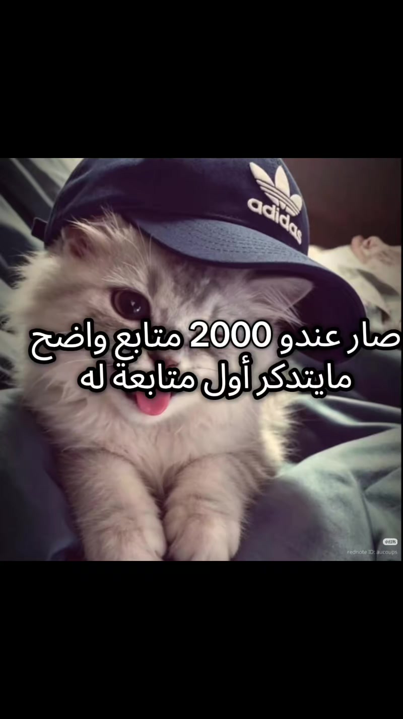 @إلَــــــيَـــــآسِ💙!,