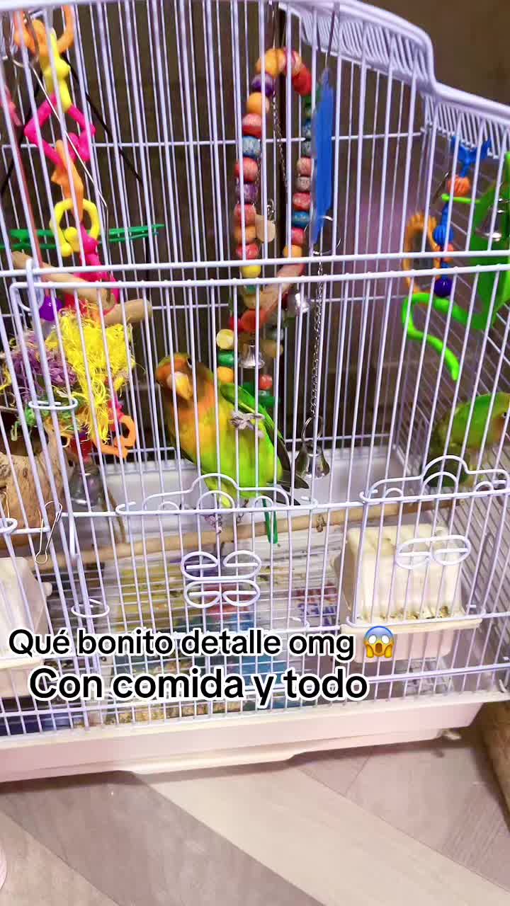 @Marypaz Juárez