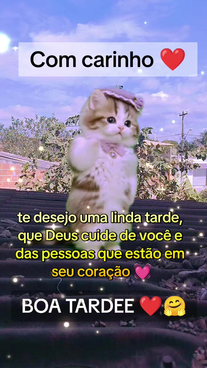 @girassol🌻