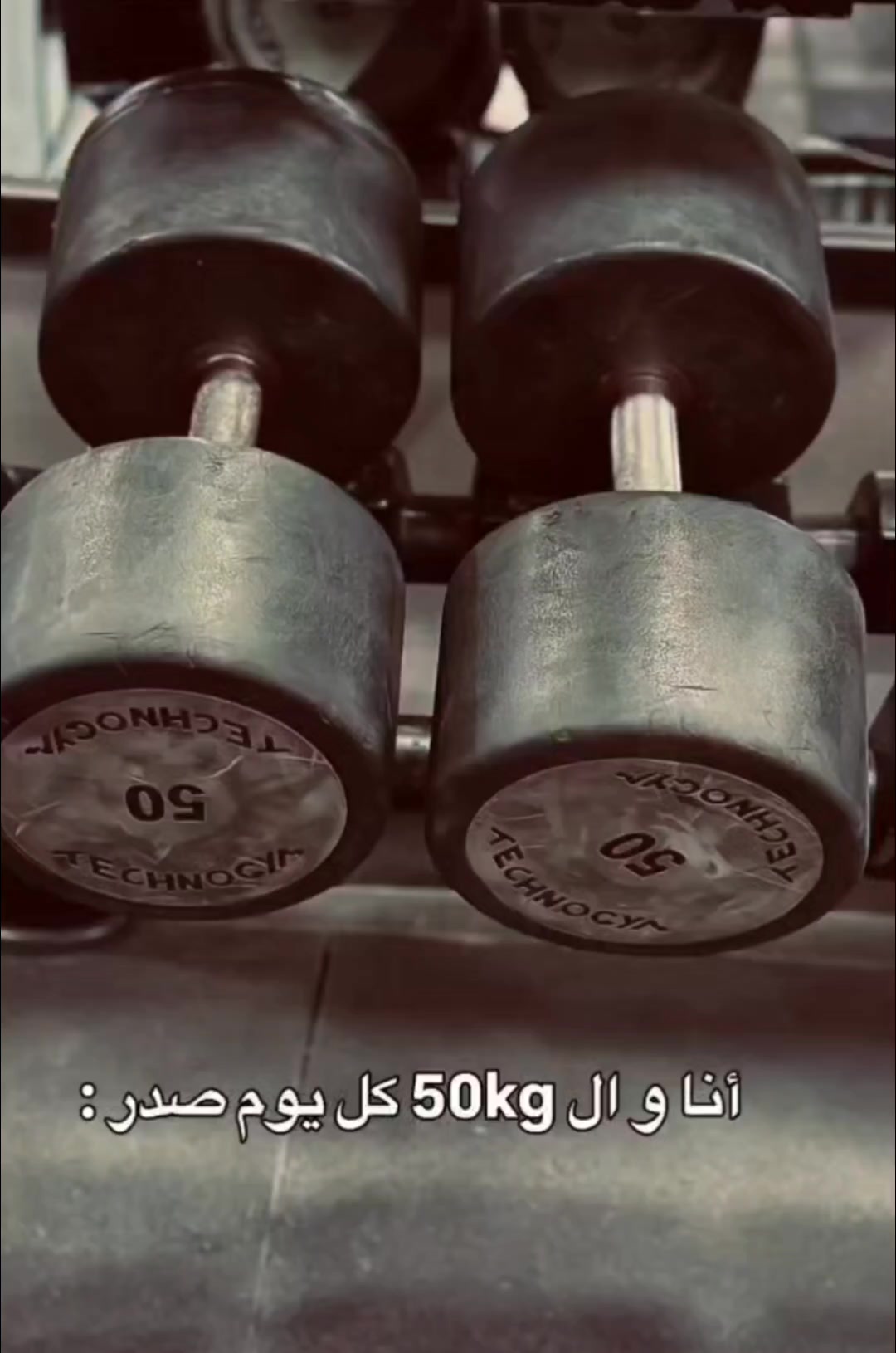 @سـيـف تقريباً 🕸️