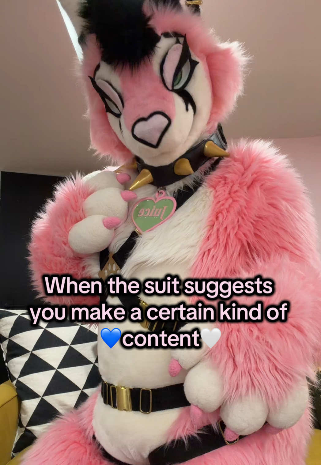@Juice the Caracal