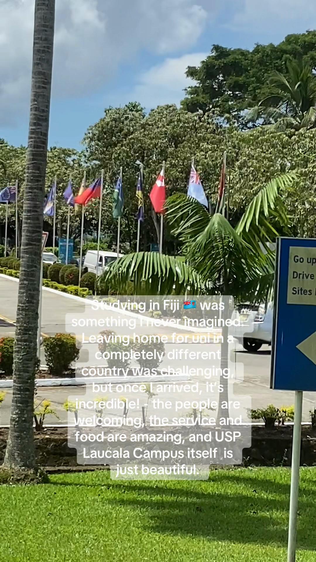 @๐๐ธ๐ธ๐๐๐๐๐ธ๐