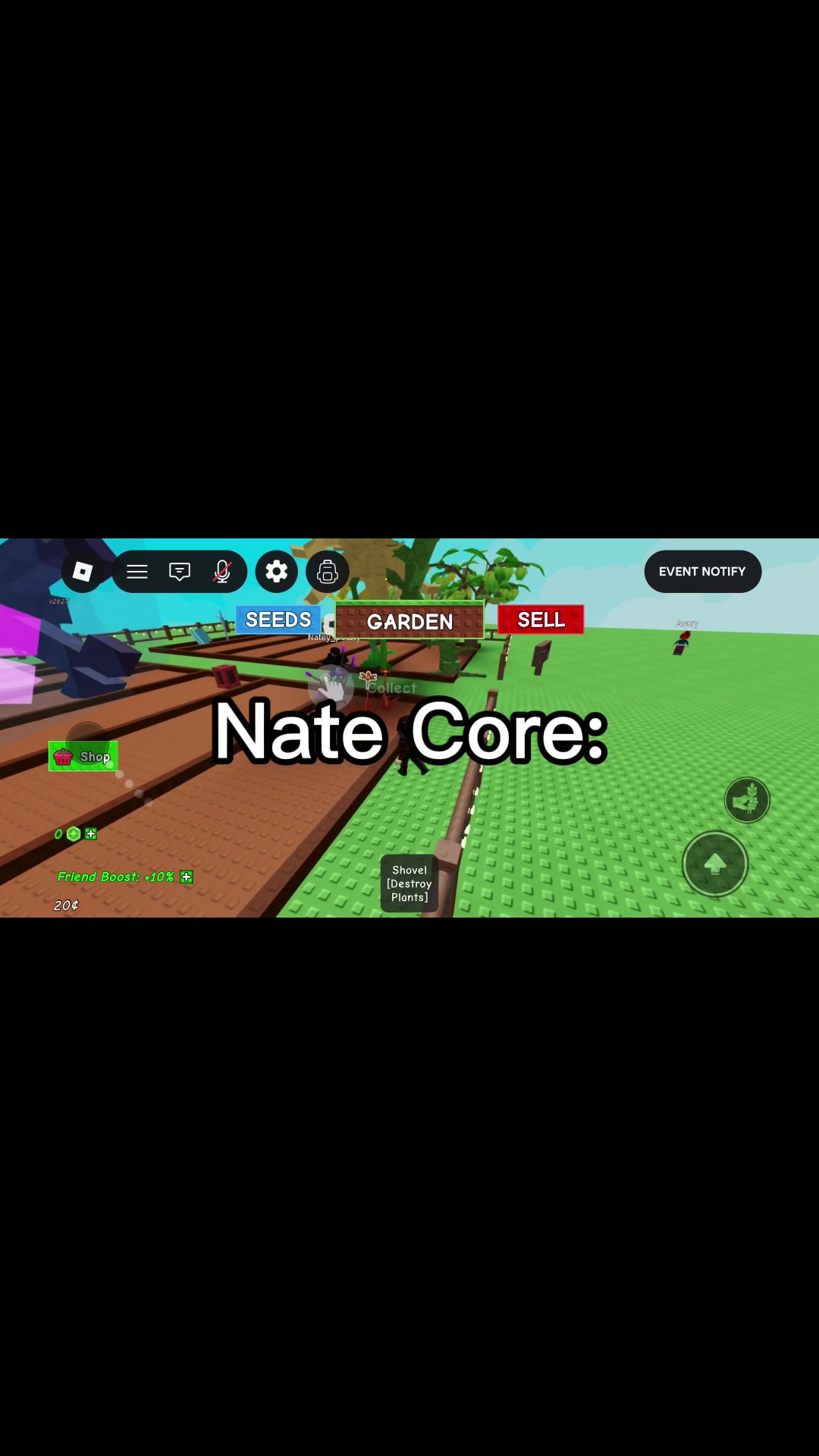 @Alix_Rbx