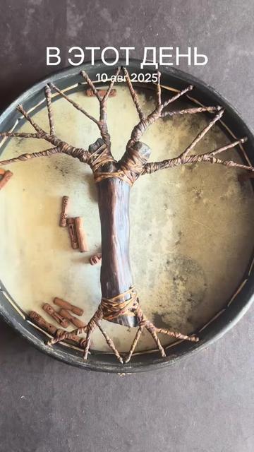 @maxgreendrums