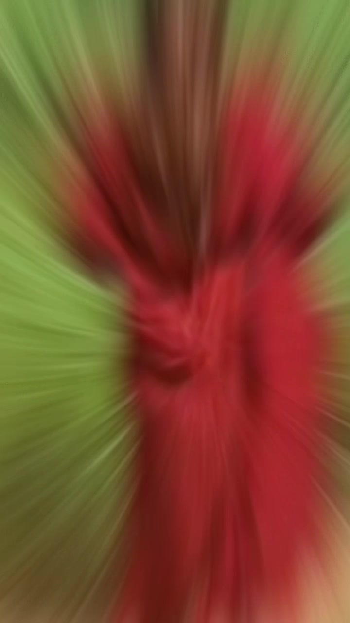 @🅽🅰🆃🅸 🆁🅰🅹🅰