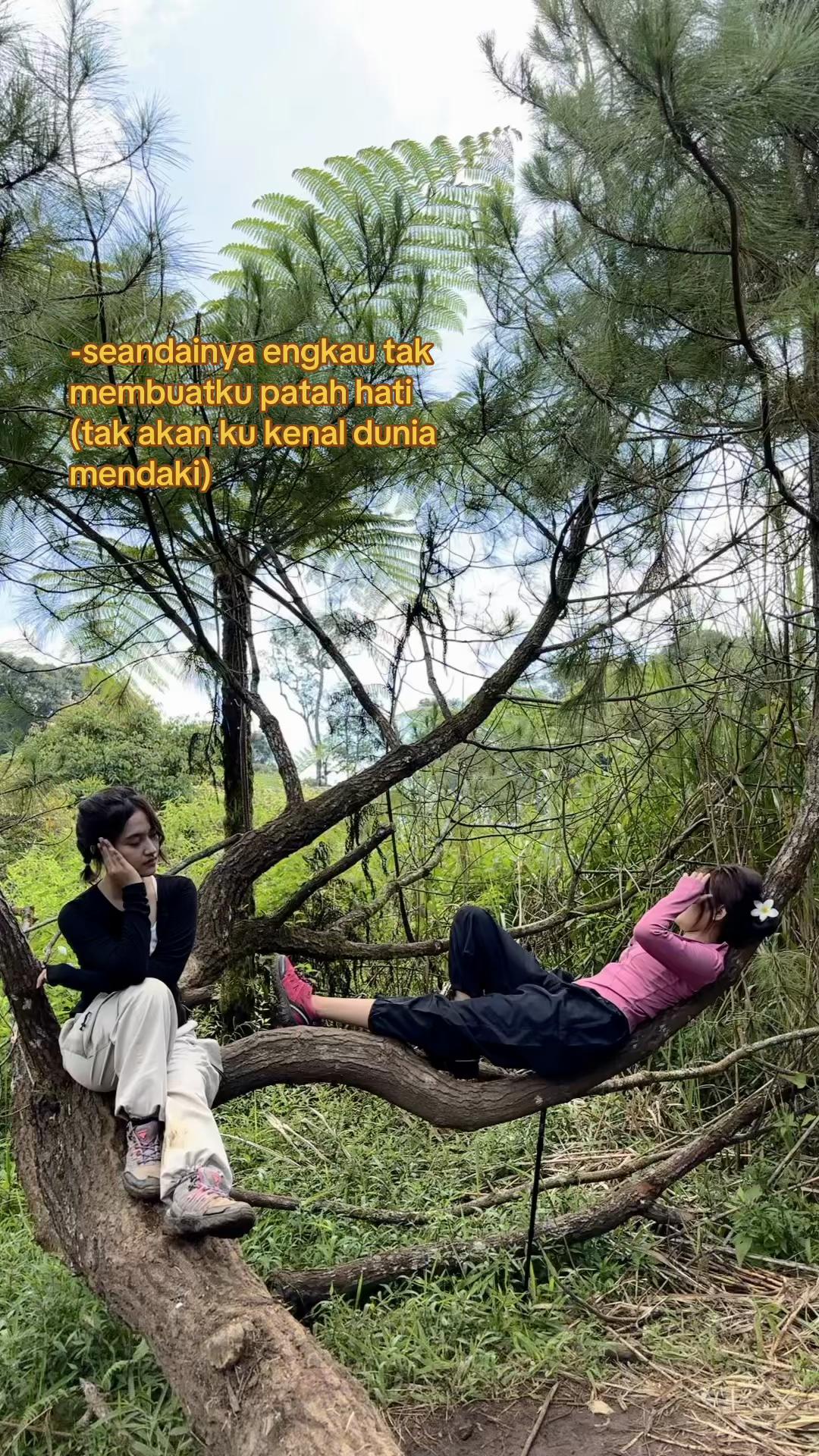 @pipuy444🇮🇩
