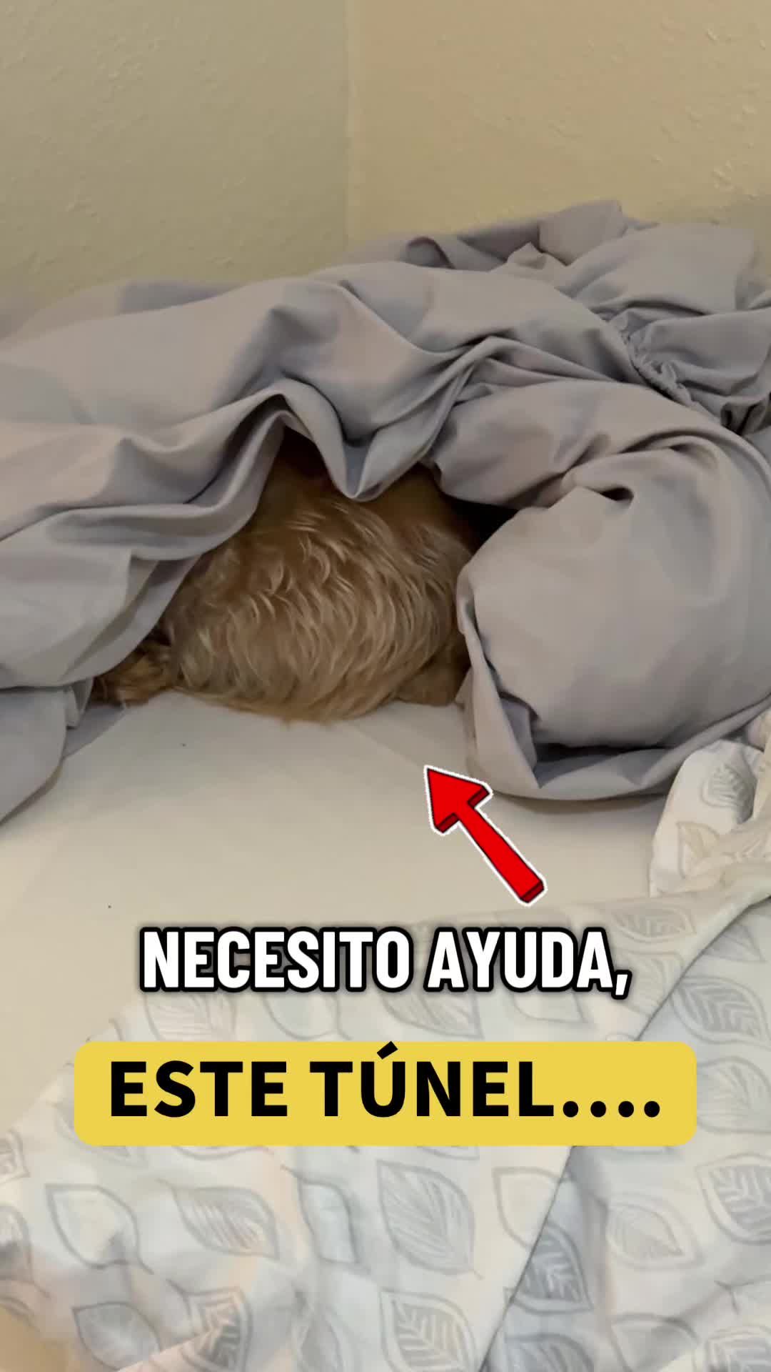 @mili_la_yorki