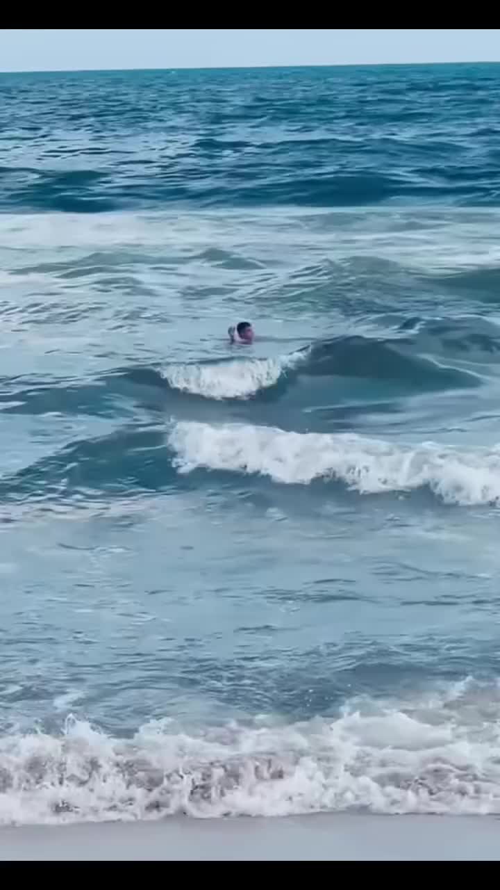 @احمد النجومى