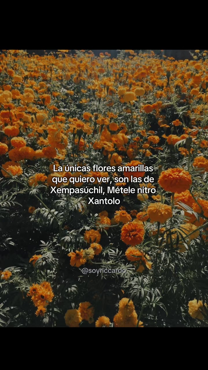 @soyriccardo_