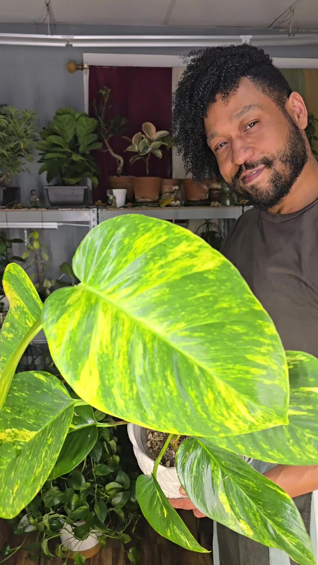 @JT - BigEGOPlants