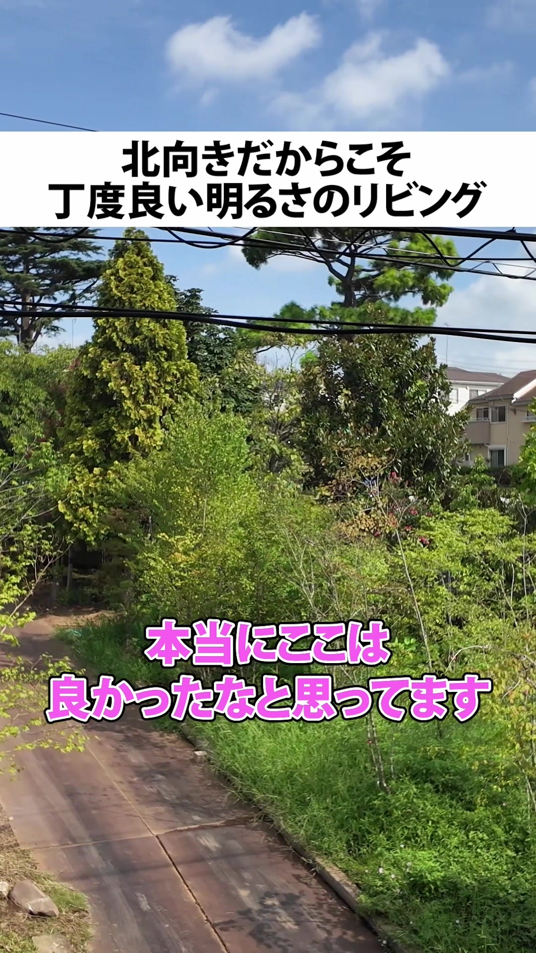 @行列のできる工務店-LIKEが詰まった家づくり-