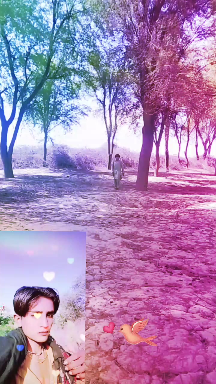 @Bijjar ali
