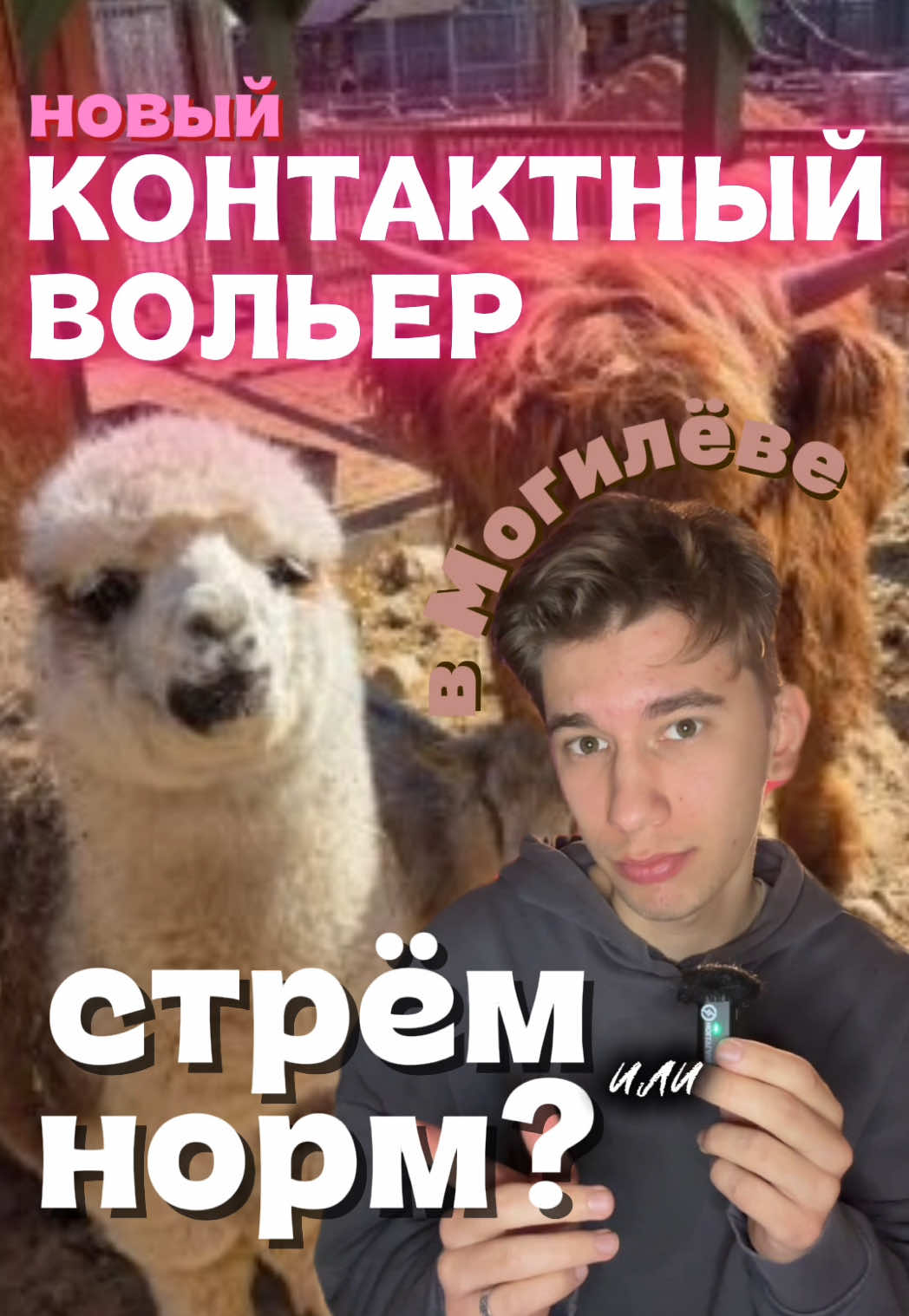 @МОХ