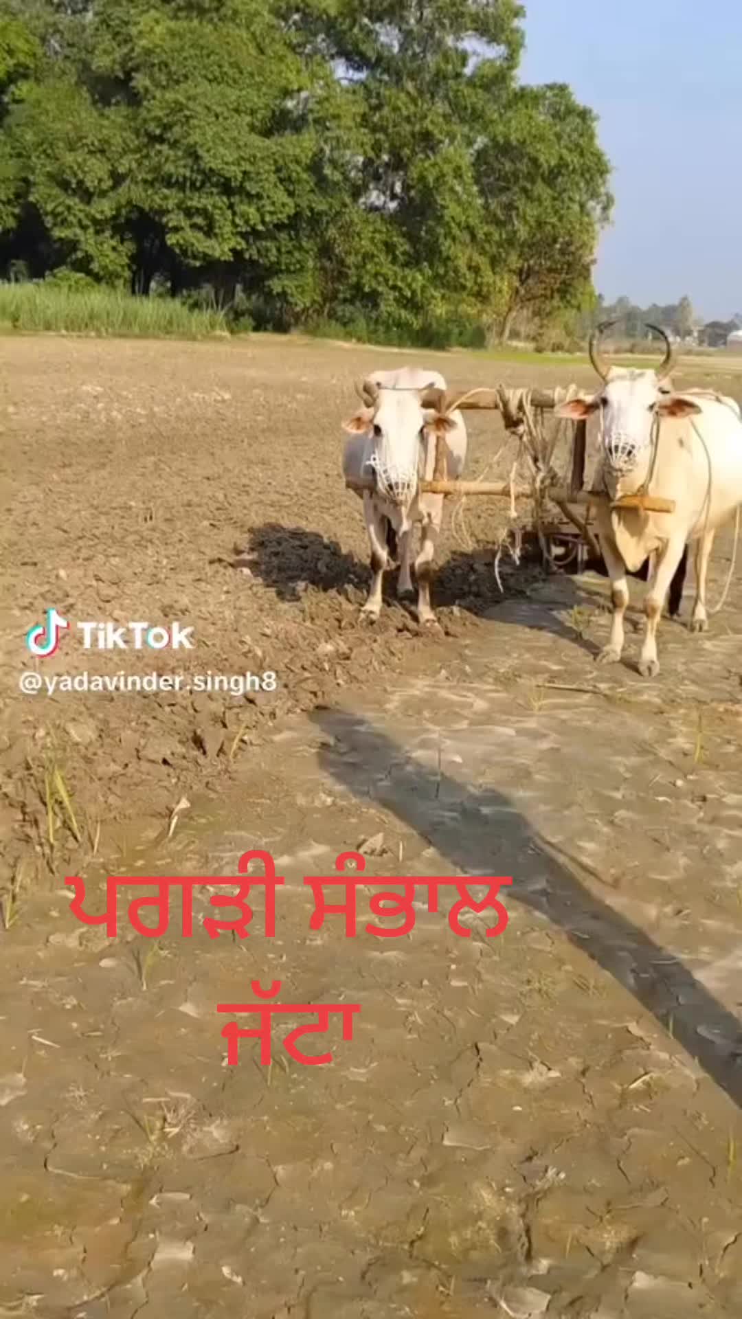 @ਜੱਟ ਬਰਾਂਡ ਜੱਟ ਸਿੱਖਾ ਦਾ ਇਤਹਾਸ