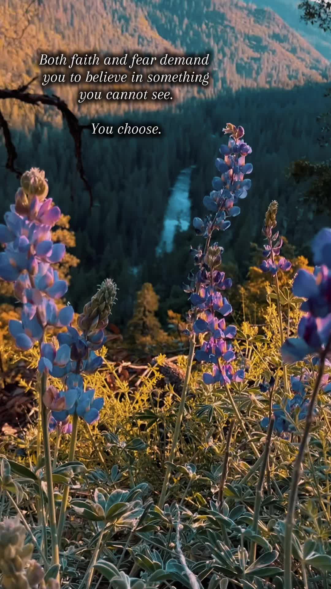 @ᴄʜᴀꜱɪɴɢ🥾ꜱɪᴇʀʀᴀ🥾ᴡᴀᴛᴇʀꜰᴀʟʟꜱ🏞️