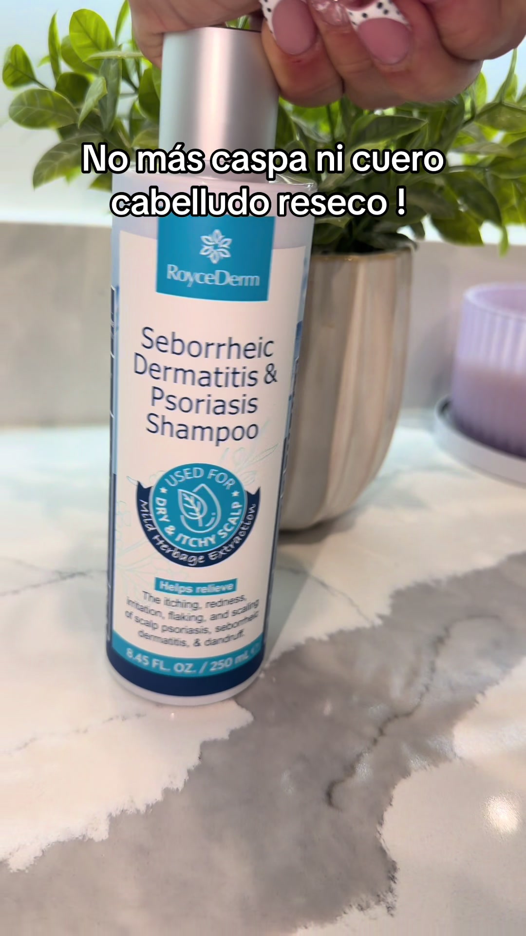 @alivalenciall