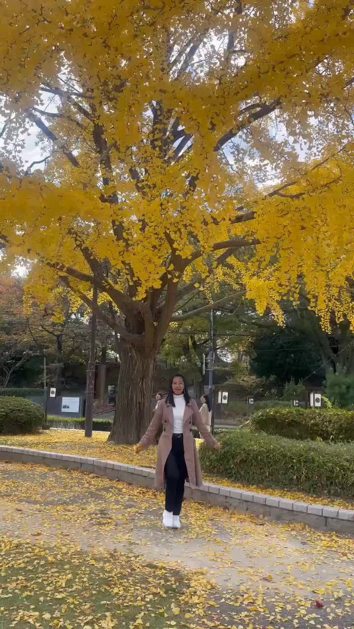 @it'sme.annie ᥫ᭡