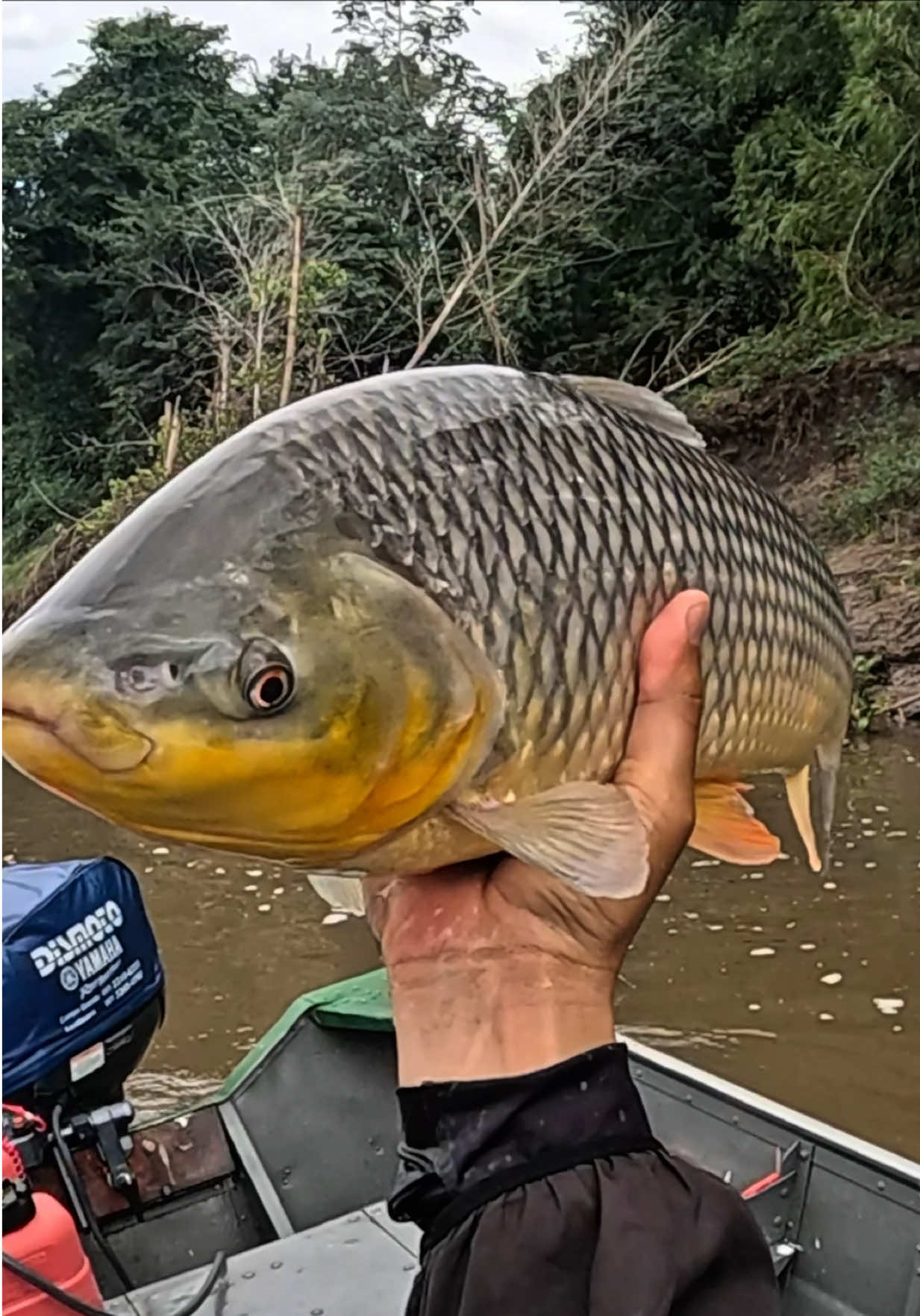 @Magrão Pesca