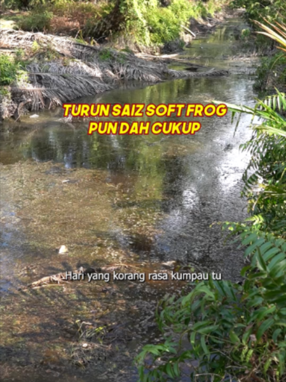 @EXP FISHING