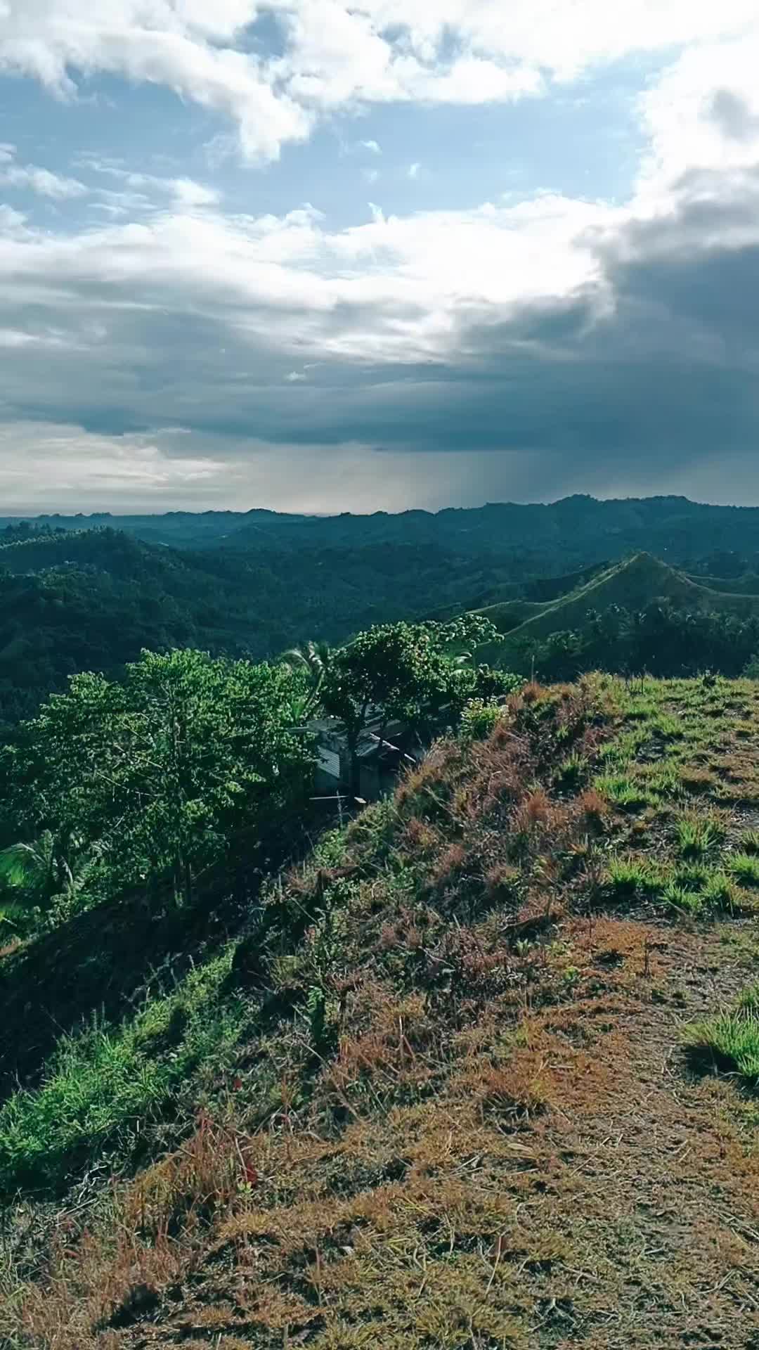 @Cliffordjhon235