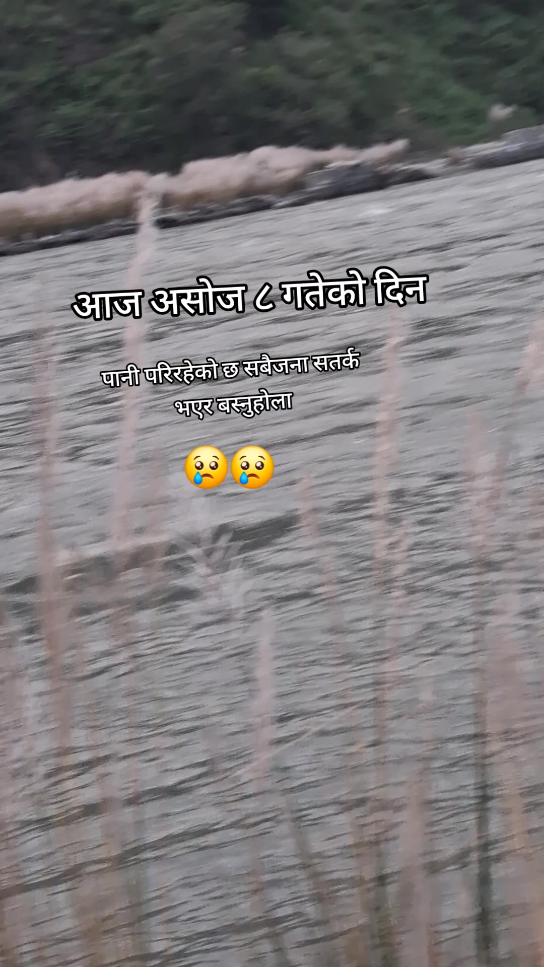 @Brinda Karki