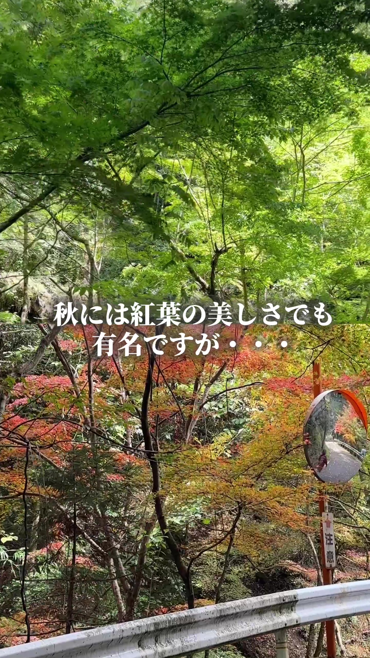@島根県観光振興課