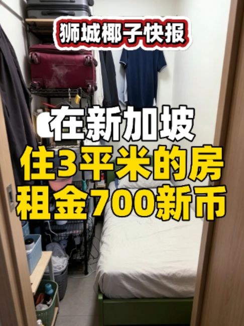 @新加坡狮城椰子