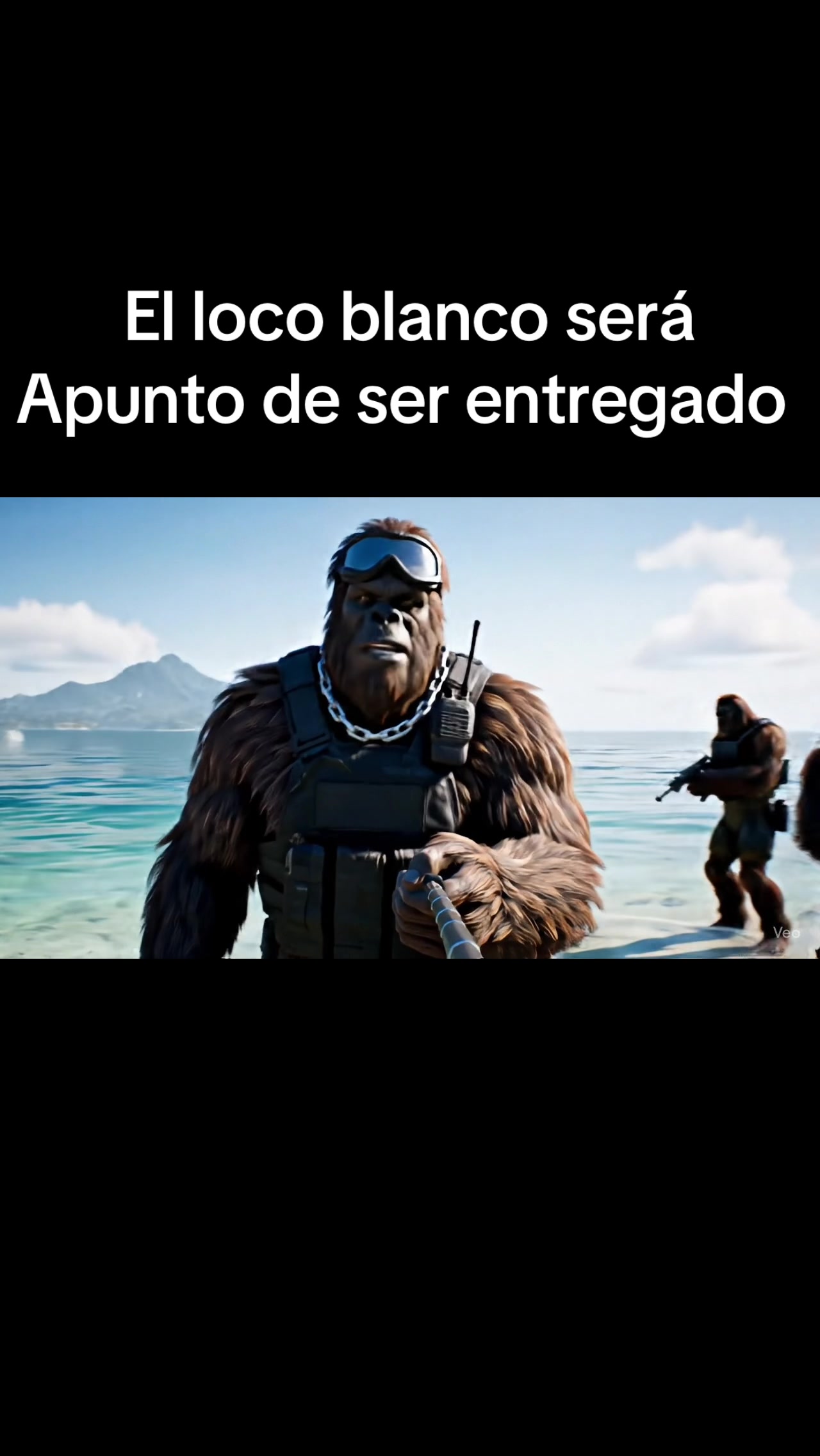 @El rulas