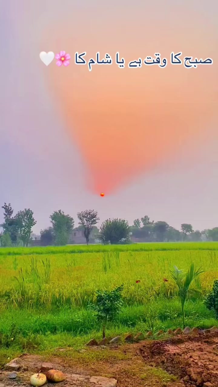 @Salman Ranjha