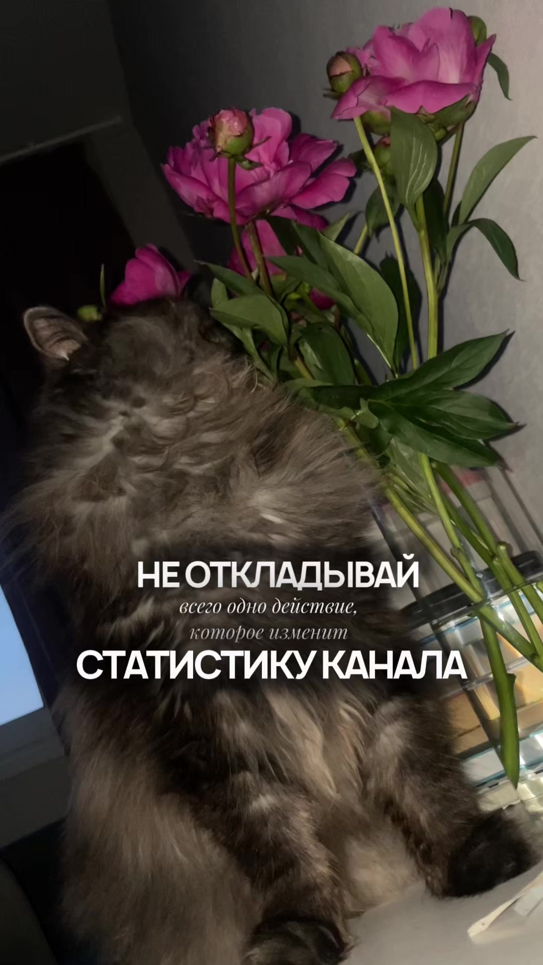 @oksana_strateg
