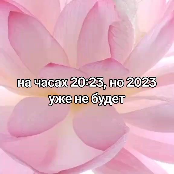 @ׄ ℳaׅɬᧃֺྀི︩︪ha 🍵 ׄ