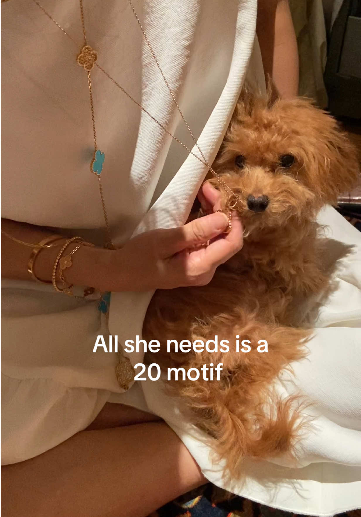 @Chloe L.