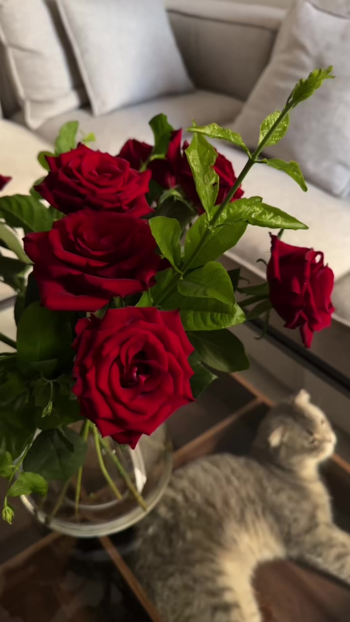 @نـوره
