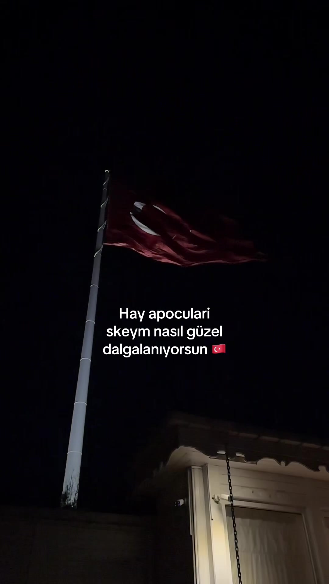 @💗 Luna