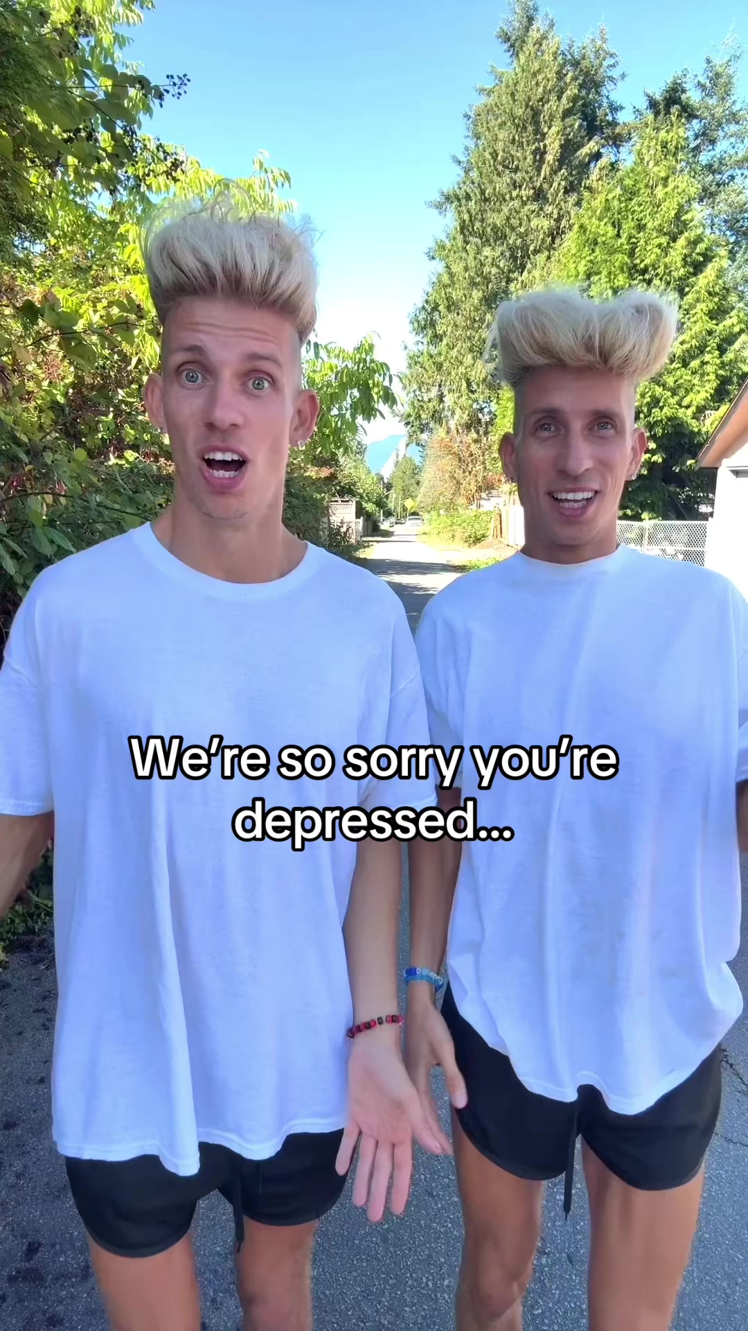 @vorostwins