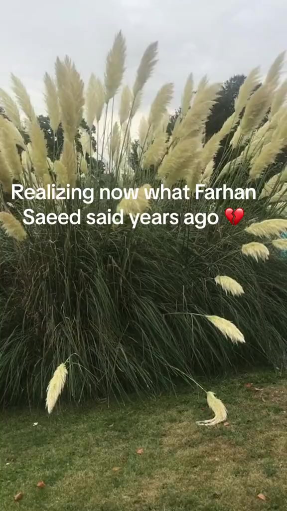 @Aنum Saقib 🇬🇧🇵🇰