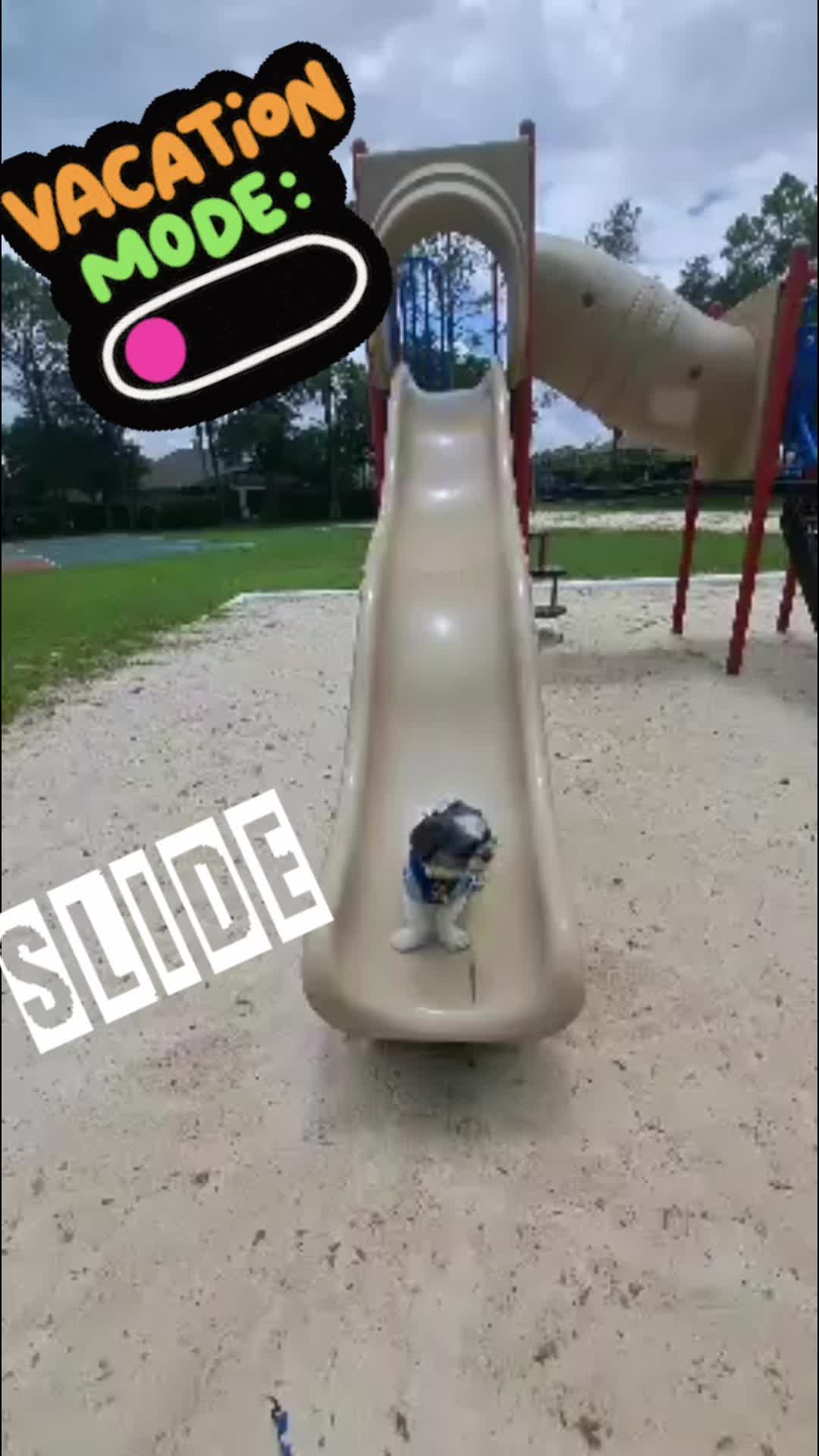 @finn2nyc